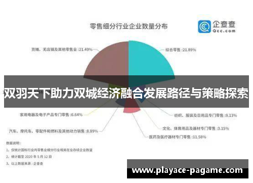 双羽天下助力双城经济融合发展路径与策略探索