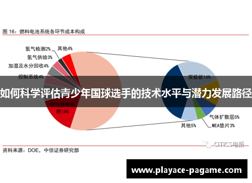 如何科学评估青少年国球选手的技术水平与潜力发展路径