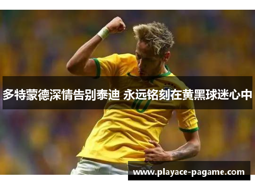 多特蒙德深情告别泰迪 永远铭刻在黄黑球迷心中 多特蒙德深情告别泰迪 永远铭刻在黄黑球迷心中
