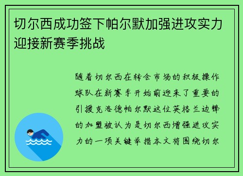 切尔西成功签下帕尔默加强进攻实力迎接新赛季挑战