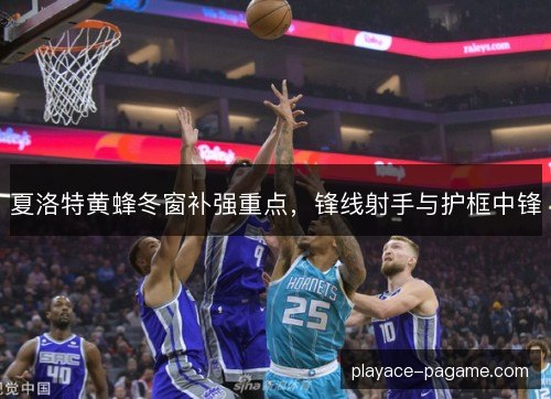 夏洛特黄蜂冬窗补强重点,锋线射手与护框中锋 夏洛特黄蜂冬窗补强重点,锋线射手与护框中锋